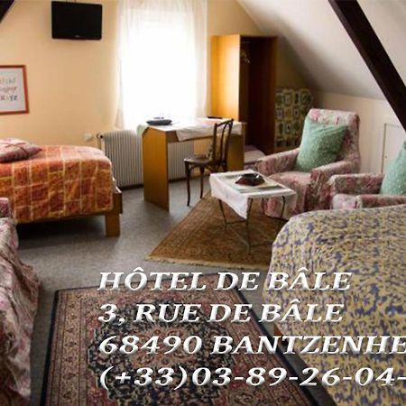 Hôtel de Bâle Bantzenheim Extérieur photo