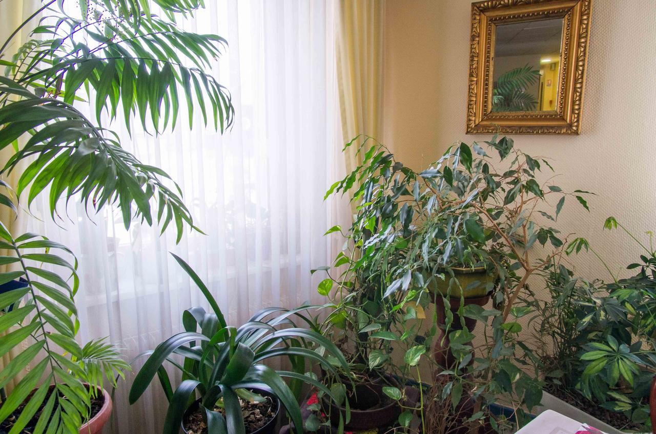 Hôtel de Bâle Bantzenheim Extérieur photo