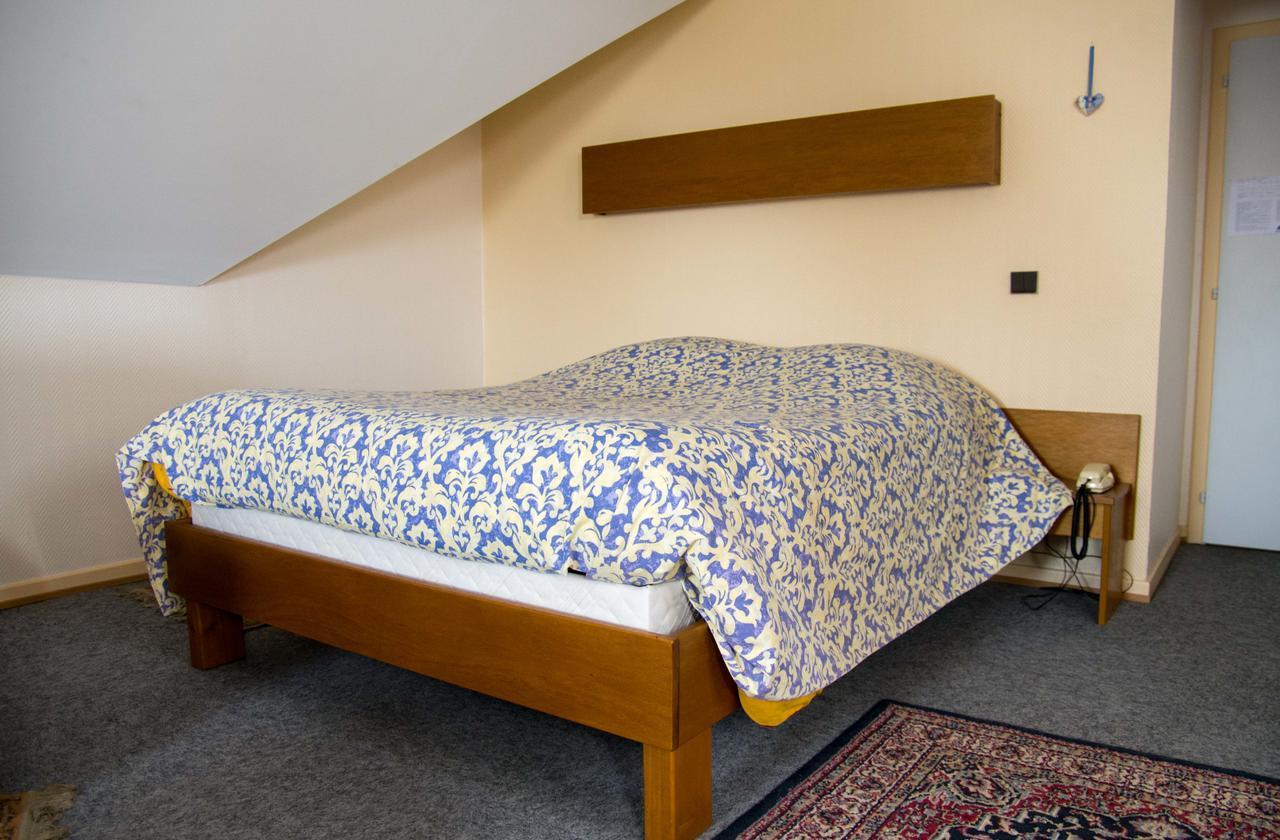 Hôtel de Bâle Bantzenheim Extérieur photo